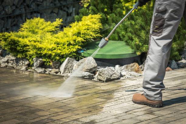 Best Pool Deck Cleaning  in Van Alstyne, TX